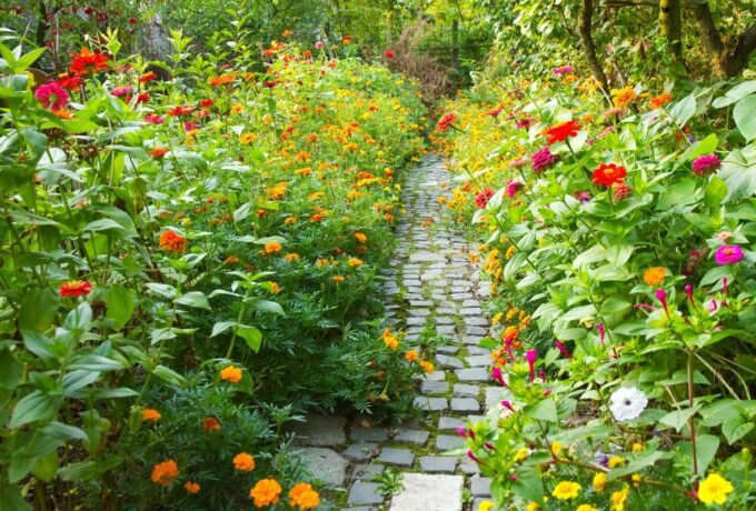 A narrow pathway in a garden surrounded by a lot of colorful flowers