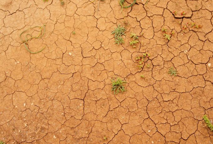 A closeup shot of a cracked ground surface