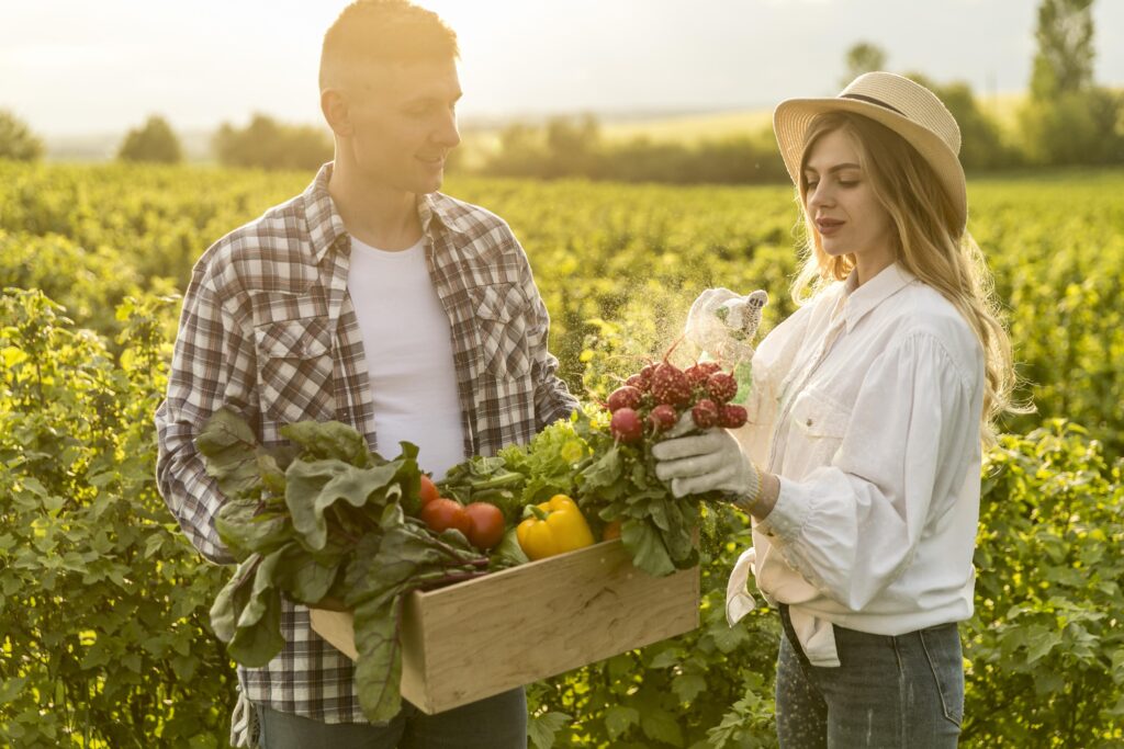 couple-collecting-vegetables