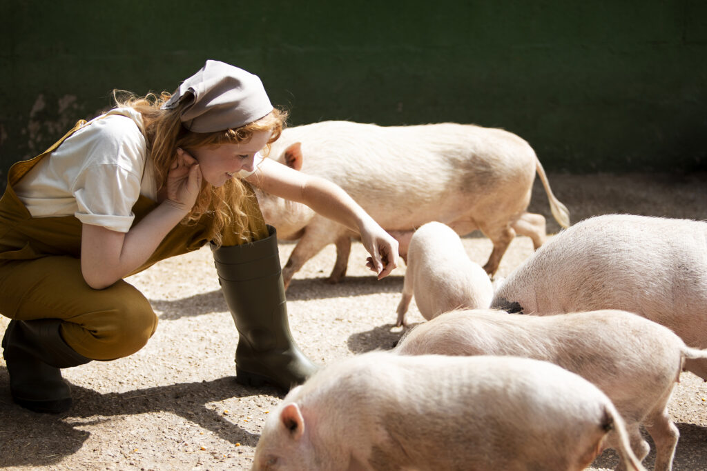 full-shot-woman-feeding-pigs